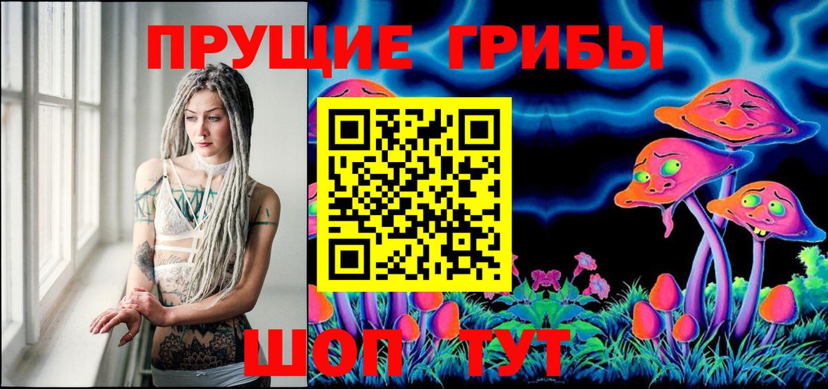 Псилоцибиновые грибы Cubensis  Галлюциногенные грибы Cubensis  Миллерово  Вход с VPN 
